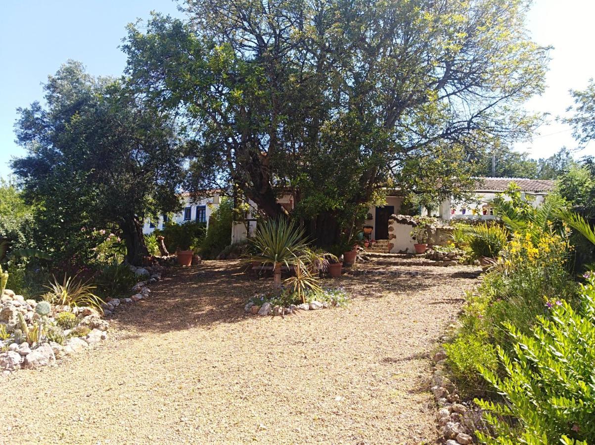 Quinta Dos Valados Querenca Exterior photo